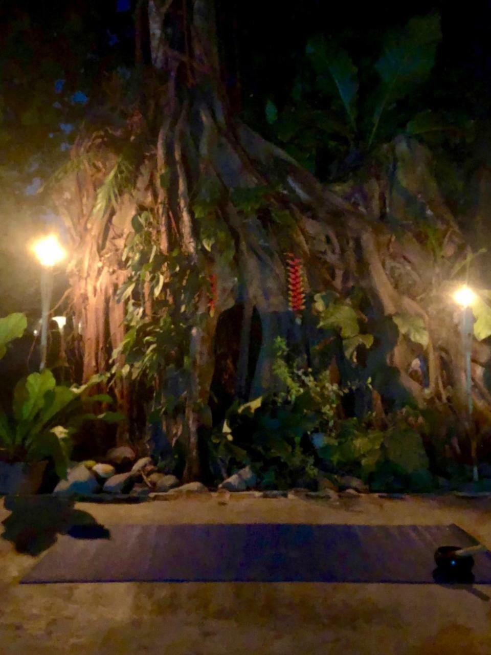 Jaco Inn Bagian luar foto